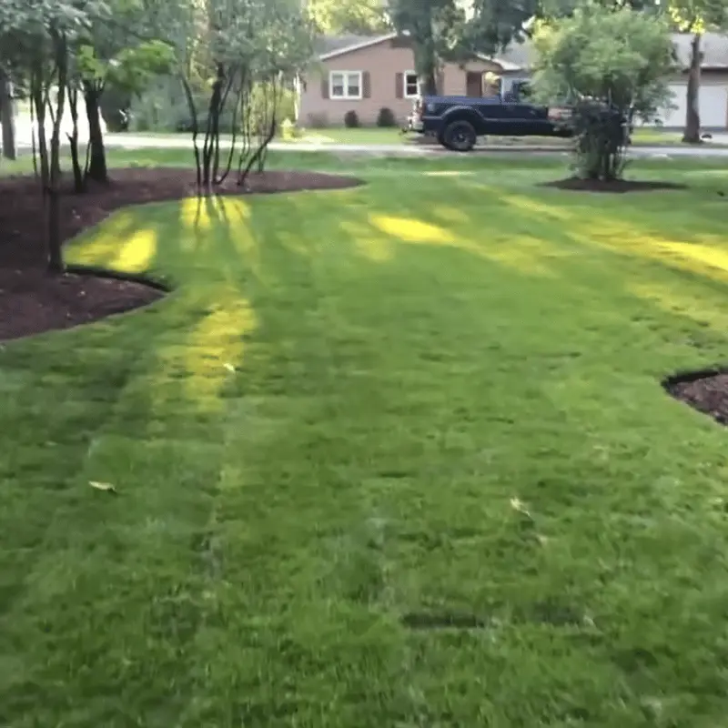 Outdoor Space landscaping
